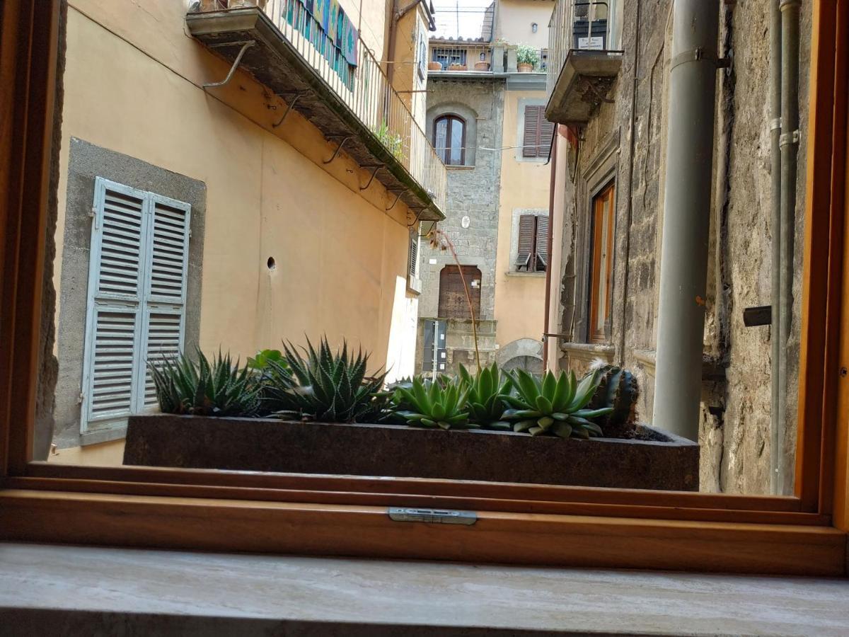 Apartment Casa Annio *