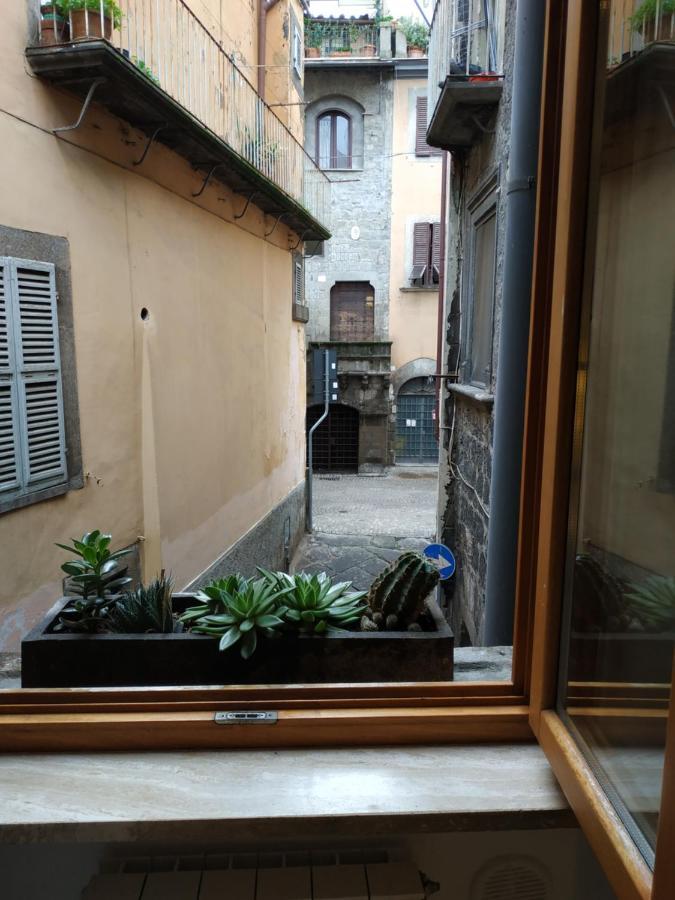 Apartment Casa Annio